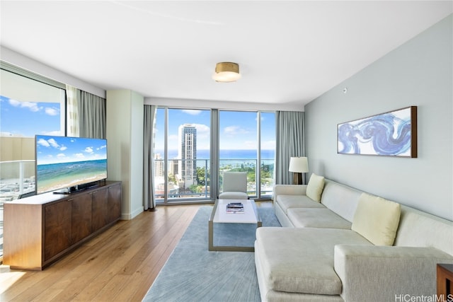 living room featuring light hardwood / wood-style floors and expansive windows