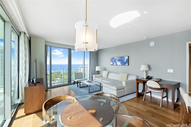 living room featuring light hardwood / wood-style floors and expansive windows