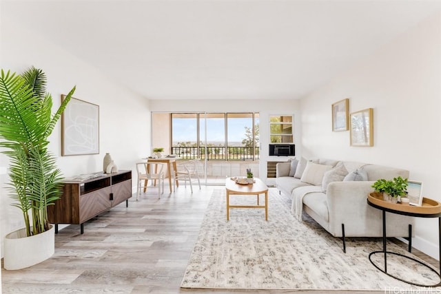 living room with light wood-type flooring