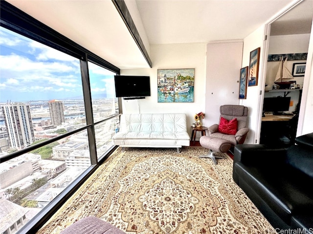 living room featuring expansive windows