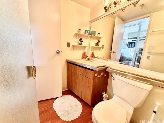 bathroom featuring toilet, vanity, and wood-type flooring