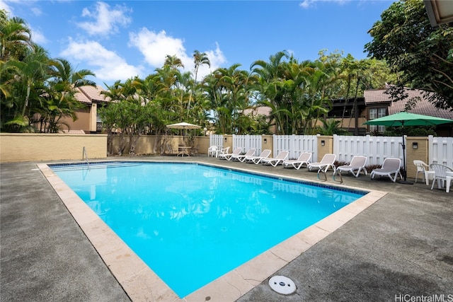 view of pool with a patio