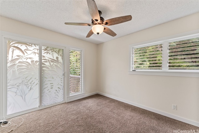 empty room with a wealth of natural light, carpet, and a textured ceiling