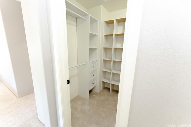 spacious closet with light carpet