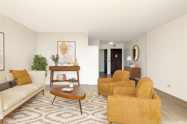 living room with wood-type flooring