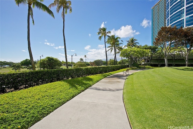 view of home's community featuring a yard