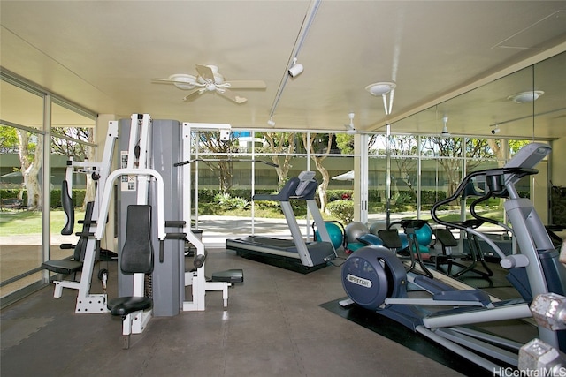 exercise room featuring expansive windows, ceiling fan, and plenty of natural light