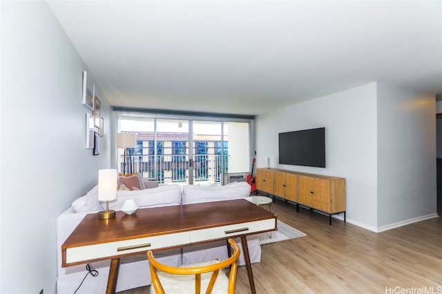 living room featuring light hardwood / wood-style floors