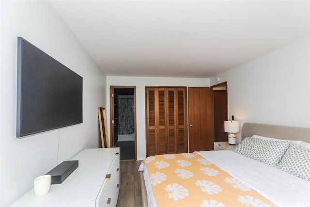 bedroom featuring dark wood-type flooring and a closet