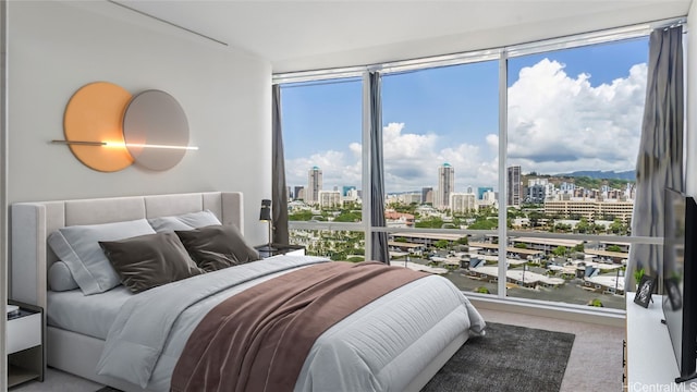 view of carpeted bedroom