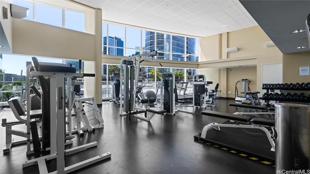 workout area featuring a towering ceiling