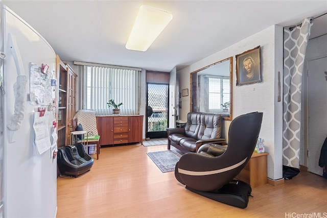 living area with light wood-type flooring