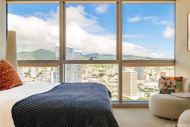 carpeted bedroom with a mountain view