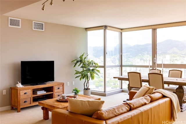 carpeted living room featuring a mountain view and floor to ceiling windows