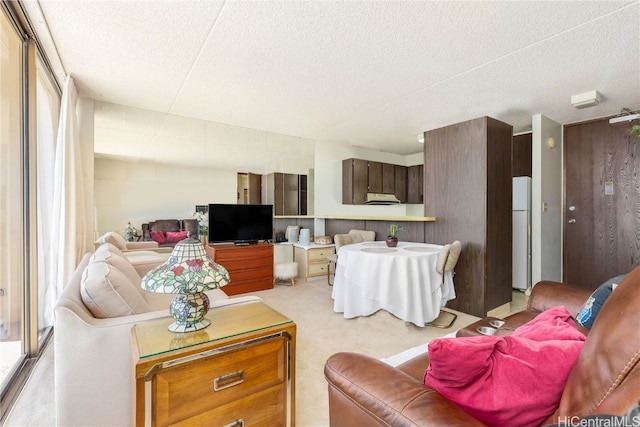 living room featuring a textured ceiling and carpet