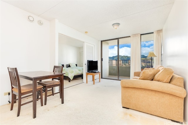 carpeted living room with floor to ceiling windows