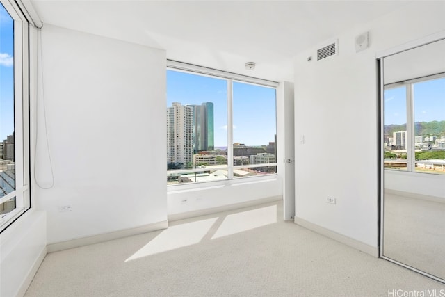 carpeted empty room with plenty of natural light