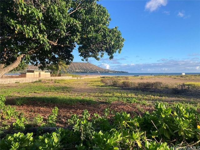 view of yard with a rural view