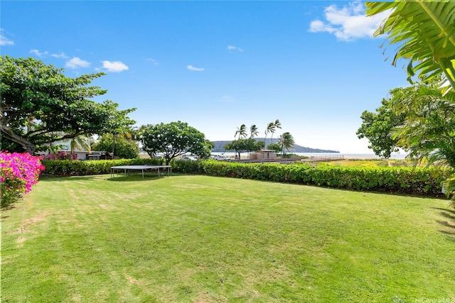 6125B Summer St Unit 6125B, Honolulu, HI 96821 - view of yard with a trampoline