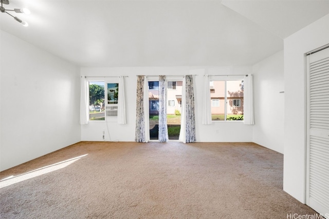 unfurnished living room with carpet flooring and a healthy amount of sunlight