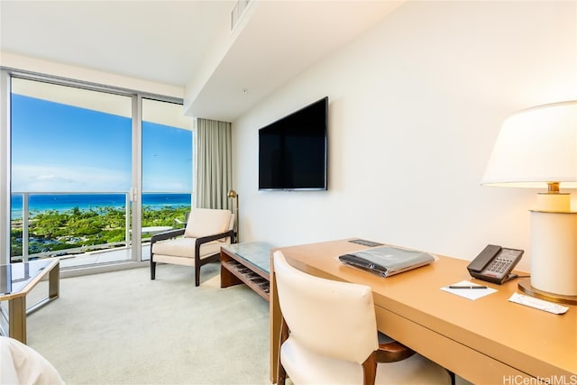 office space featuring expansive windows and light colored carpet