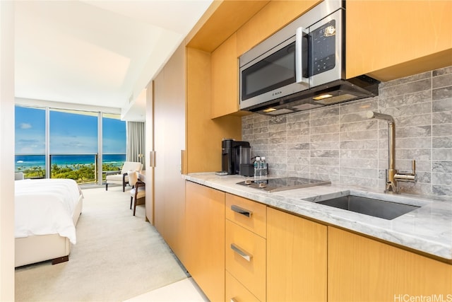 kitchen featuring tasteful backsplash, electric stovetop, sink, light stone counters, and a water view