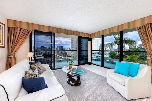 carpeted living room with a textured ceiling