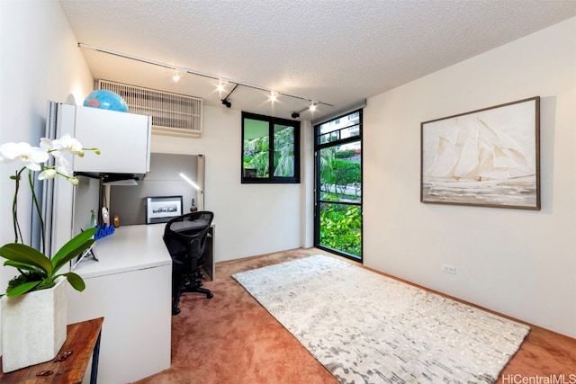 office featuring a textured ceiling, track lighting, and carpet floors