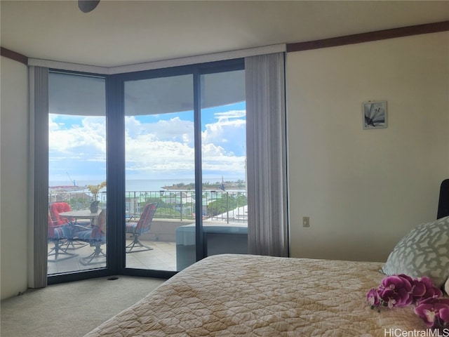 carpeted bedroom featuring access to outside, multiple windows, and floor to ceiling windows