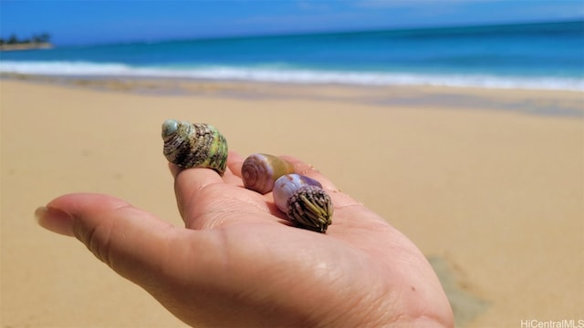 details with a beach view