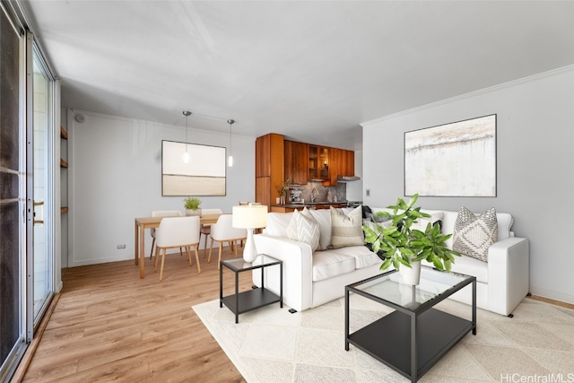 living room featuring light hardwood / wood-style floors and crown molding