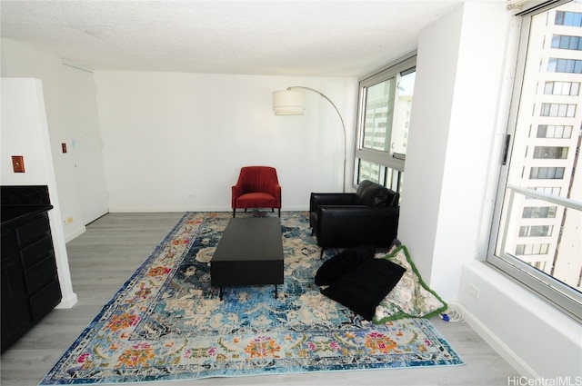 living room featuring wood-type flooring and a textured ceiling