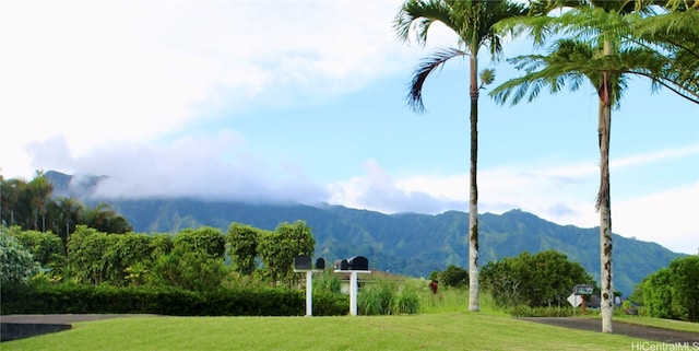 view of mountain feature