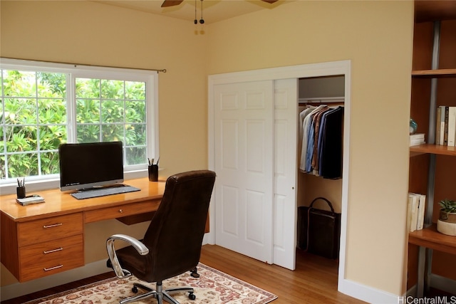 home office featuring light hardwood / wood-style floors and ceiling fan