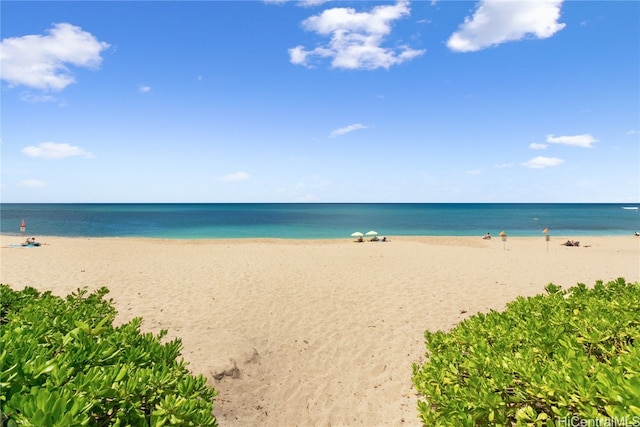 water view featuring a beach view