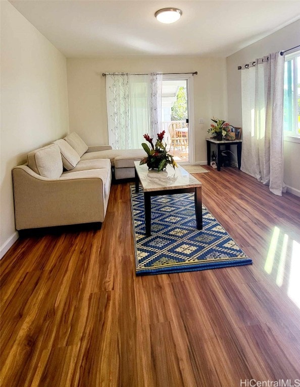 living room featuring dark wood-type flooring