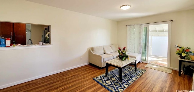 living room with sink and wood-type flooring