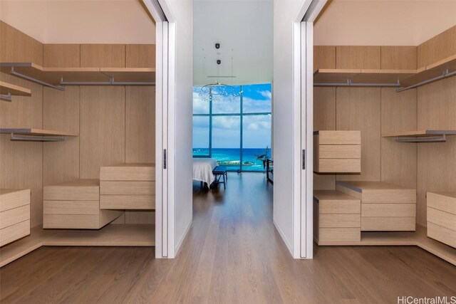 spacious closet with light wood-type flooring