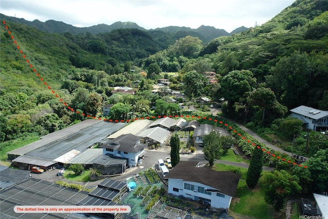 2630 Waiomao Rd, Honolulu, HI 96816 - birds eye view of property with a mountain view and a view of trees