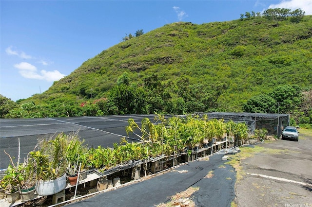 2630 Waiomao Rd, Honolulu, HI 96816 - property view of mountains featuring a view of trees