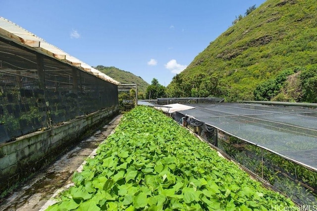2630 Waiomao Rd, Honolulu, HI 96816 - view of yard with a mountain view