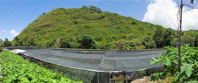 2630 Waiomao Rd, Honolulu, HI 96816 - property view of mountains with a wooded view