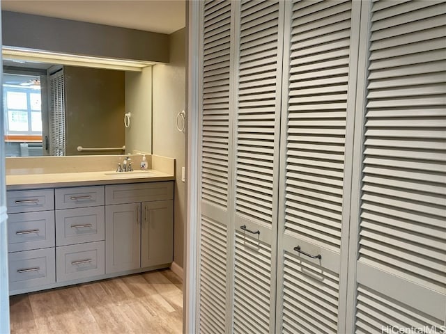 bathroom with vanity and hardwood / wood-style flooring