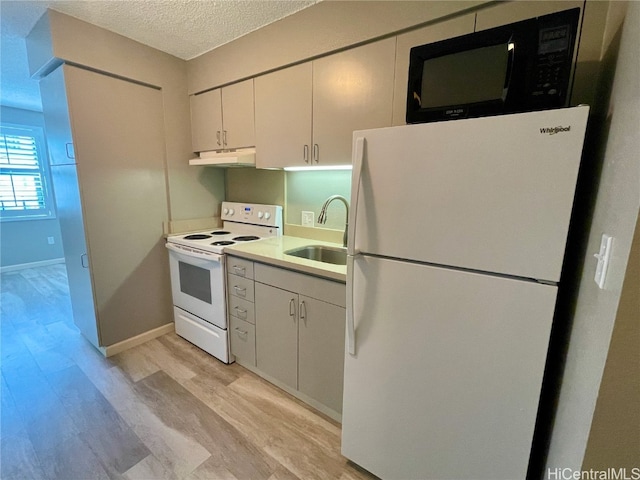 kitchen with a textured ceiling, white cabinetry, light hardwood / wood-style floors, sink, and white appliances