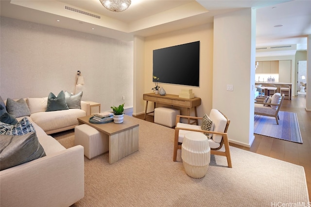 living room featuring wood-type flooring and a raised ceiling