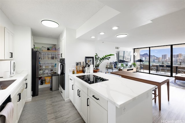 kitchen with light hardwood / wood-style flooring, white cabinetry, light stone countertops, and black appliances