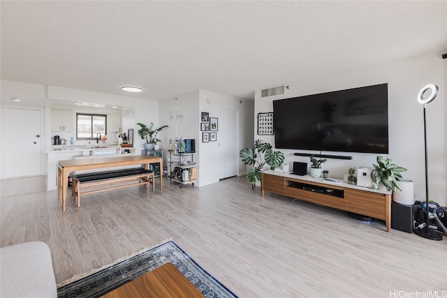 living room with a textured ceiling and light wood-type flooring