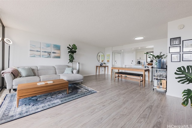 living room featuring light hardwood / wood-style floors and a textured ceiling