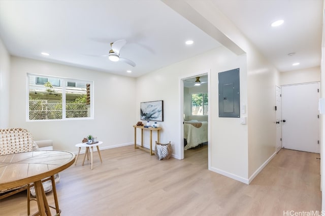 sitting room with electric panel, light hardwood / wood-style floors, and plenty of natural light