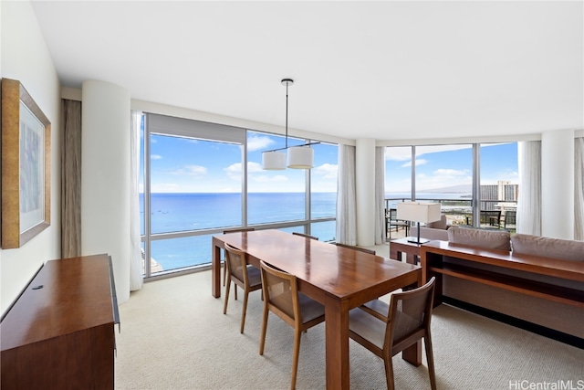 carpeted dining room with expansive windows and a water view